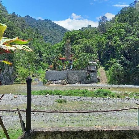 Conrado'S Guesthouse B&B Las Avispas 外观 照片