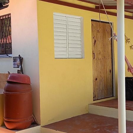 Conrado'S Guesthouse B&B Las Avispas 外观 照片