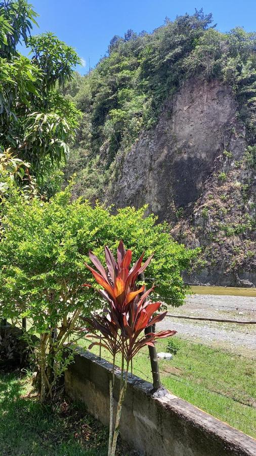 Conrado'S Guesthouse B&B Las Avispas 外观 照片