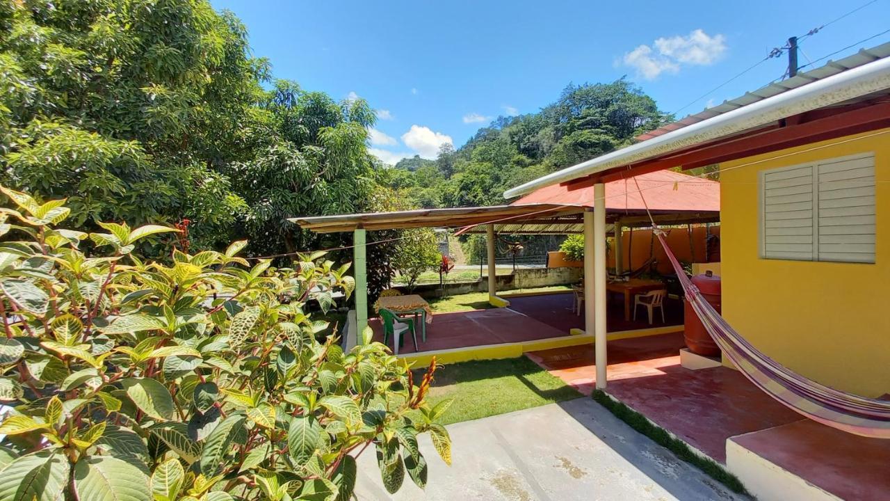 Conrado'S Guesthouse B&B Las Avispas 外观 照片