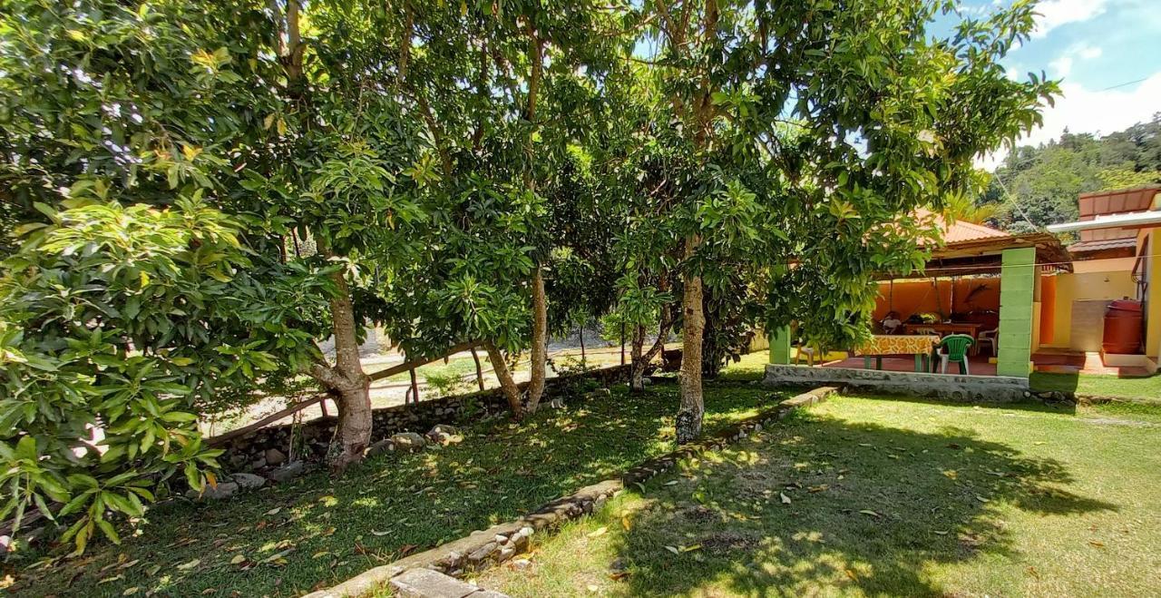 Conrado'S Guesthouse B&B Las Avispas 外观 照片