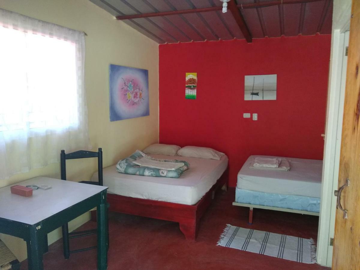 Conrado'S Guesthouse B&B Las Avispas 外观 照片